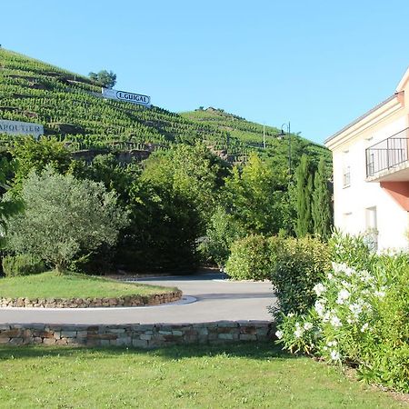 Hotel Le Domaine Des Vignes Ampuis Lyon Sud Vienne Εξωτερικό φωτογραφία