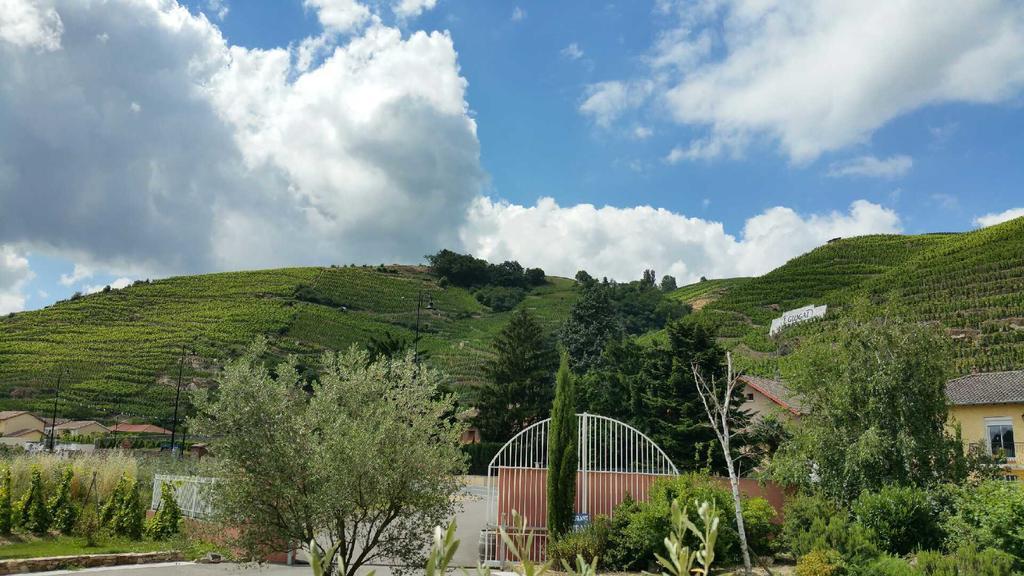 Hotel Le Domaine Des Vignes Ampuis Lyon Sud Vienne Εξωτερικό φωτογραφία