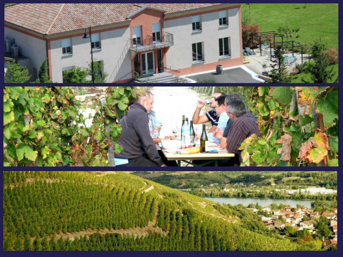 Hotel Le Domaine Des Vignes Ampuis Lyon Sud Vienne Εξωτερικό φωτογραφία