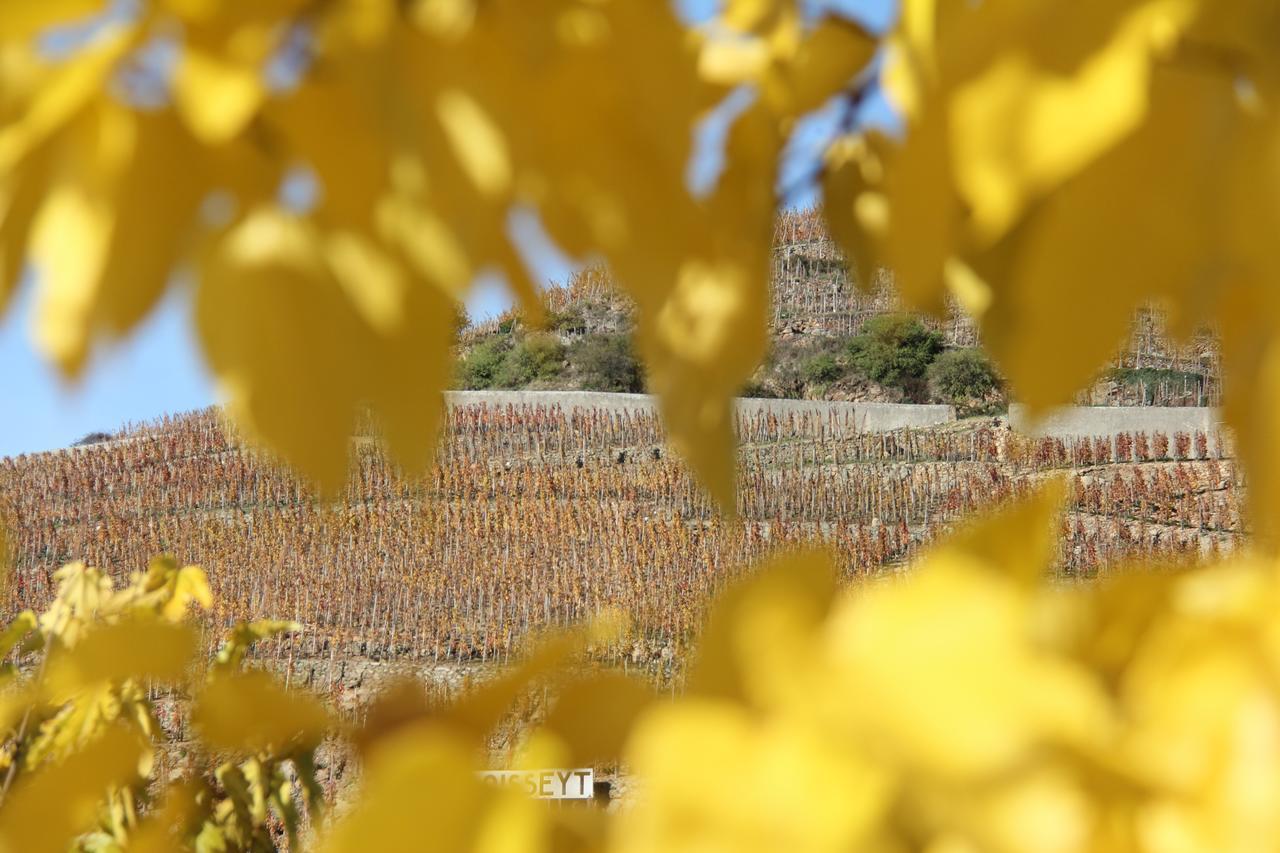 Hotel Le Domaine Des Vignes Ampuis Lyon Sud Vienne Εξωτερικό φωτογραφία