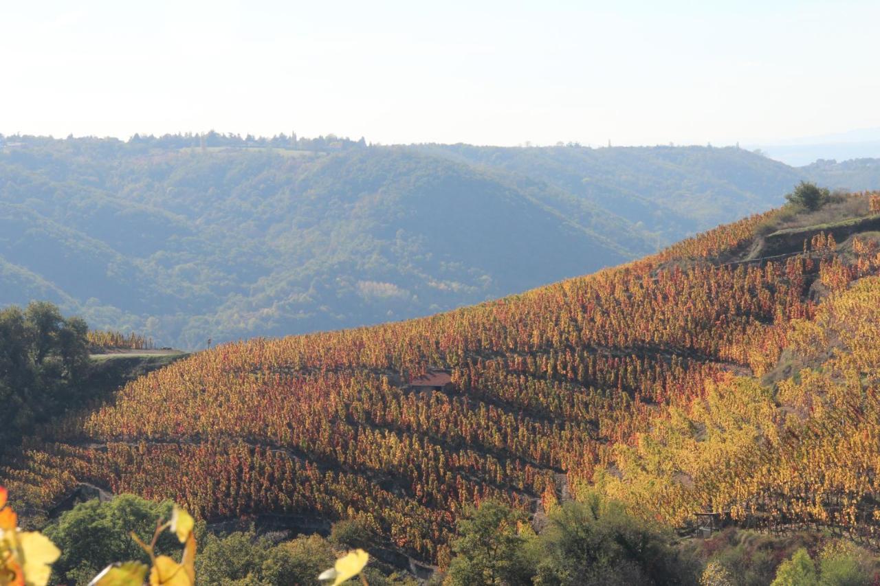 Hotel Le Domaine Des Vignes Ampuis Lyon Sud Vienne Εξωτερικό φωτογραφία
